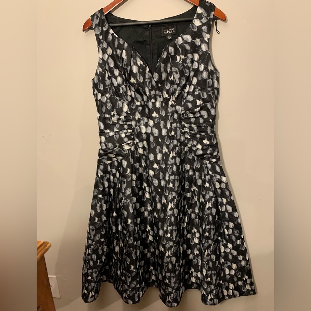 Adrianna Papell 50’s Retro Fit and Flare Taffeta Swing Dress